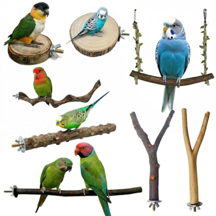 Health & Wellness Fee - 8 perchoirs en bois naturel pour